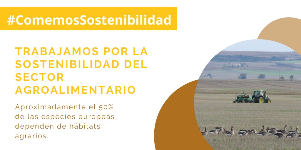 Fundación Global Nature tweet media