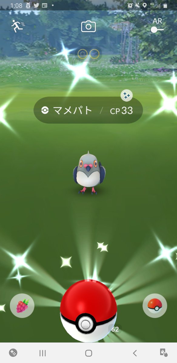 ジン ポケモンgo ドラクエウォーク 色違いマメパトゲットしました ポケモンgo ポケ活 マメパト 色違いポケモン