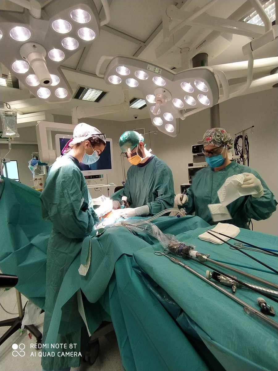 Rafael Díaz Del Gobbo (@rafagdiazgobbo) on Twitter photo When your PGY 1 <a href="/claudioguari/">Claudio Guariglia</a> does a really good #critical #view #strarsberg you Know he has learned the lesson #Lapcolecistectomy <a href="/althaiamanresa/">Fundació Althaia</a> <a href="/AngelPuig13/">Angel Puig</a> <a href="/RFarr15/">R. Farré</a> <a href="/cjGomez22/">Carlos Gómez</a> <a href="/ColleraPablo/">Pablo Collera</a> <a href="/mguell1/">mguell</a> <a href="/aecformacion/">AEC Formación</a> <a href="/RNCsantander/">Dieter Morales #yosoydelclinico</a> When your PGY 1 <a href="/claudioguari/">Claudio Guariglia</a> does a really good #critical #view #strarsberg you Know he has learned the lesson #Lapcolecistectomy <a href="/althaiamanresa/">Fundació Althaia</a> <a href="/AngelPuig13/">Angel Puig</a> <a href="/RFarr15/">R. Farré</a> <a href="/cjGomez22/">Carlos Gómez</a> <a href="/ColleraPablo/">Pablo Collera</a> <a href="/mguell1/">mguell</a> <a href="/aecformacion/">AEC Formación</a> <a href="/RNCsantander/">Dieter Morales #yosoydelclinico</a>