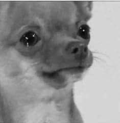 pr2547's tweet image. น้องทักมาคุยกับพี่ได้นะคะ 
คือพี่นอน 4 ทุ่ม T T