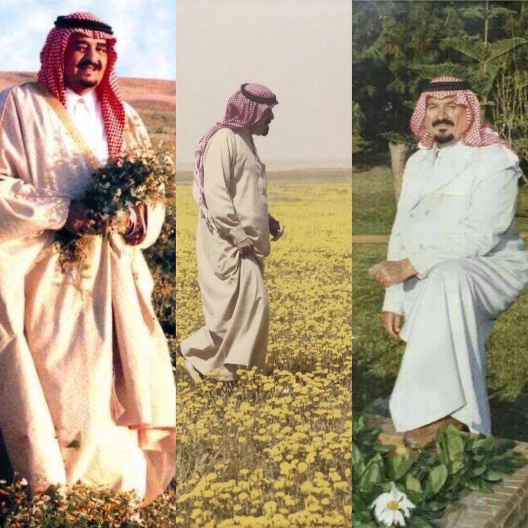 ما لقيت أجمل من هالصور أمسي عليكم فيهم 
#الملك_فهد #الملك_عبدالله #الأمير_سلطان الله يرحمهم ويغفر لهم 
الورد في أجمل معانيه🌼🍃