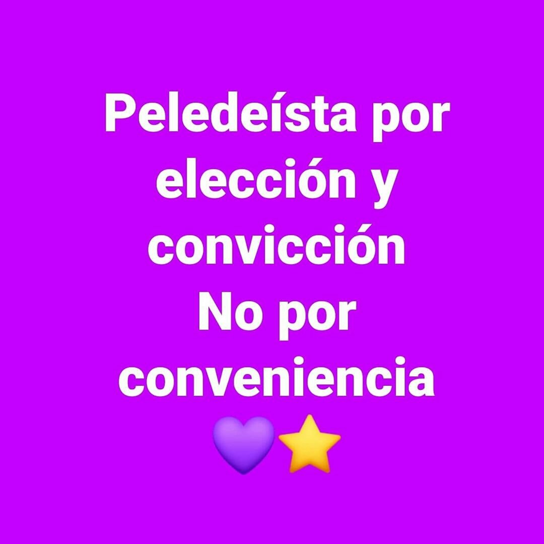amaalmanzar's tweet photo. #YoVotePLD ⭐💜
#PLD
#GonzaloCastillo
#DaniloMedina https://t.co/415q5xHQov