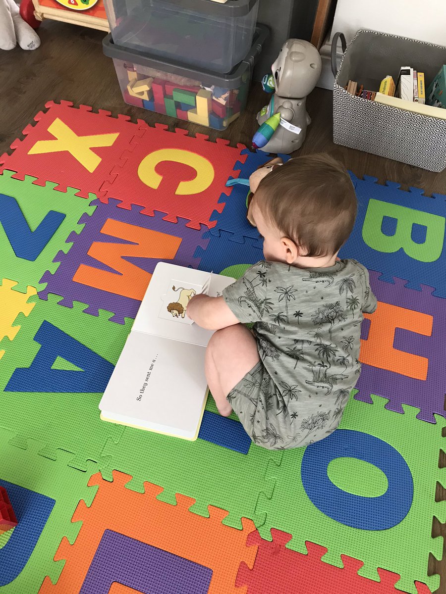 MissShaw20's tweet photo. Knows how to turn the pages of a board book and lift, shut flaps in books... and he is only 9 months old :) 🥰 #babiesdevelopment #maternity https://t.co/alggr8w3GG