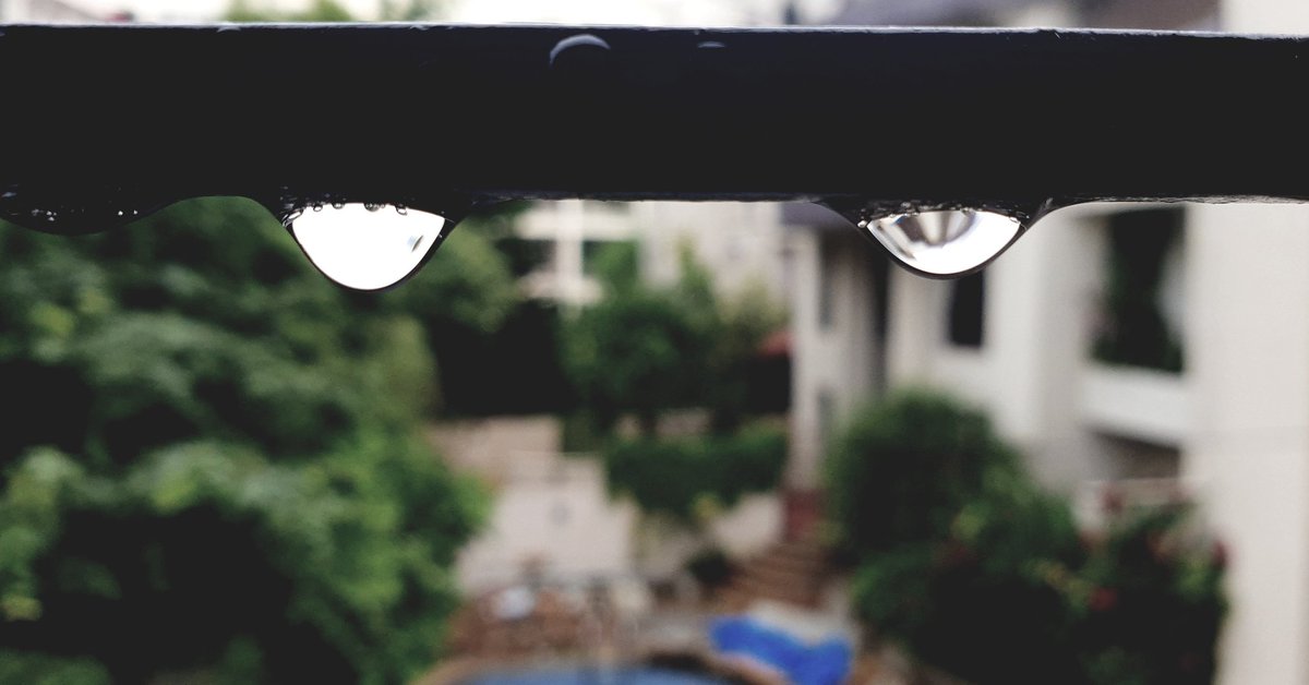 SouhardhaStudio's tweet photo. Follow @SouhardhaStudio
For more.

#photography #rainyday #raindropphotography #rainphotography #droplets #rainlove #Facebook #Instagram #TwitterKurds #PhotoOfTheDay #postoftheday #loverain #photographyworld #naturelovers #NaturePhotography #peace https://t.co/P5x3dkAA1I