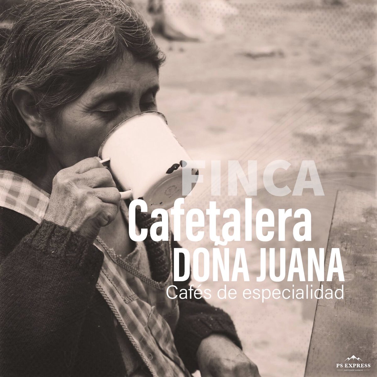 Cafes de especialidad Bolivia