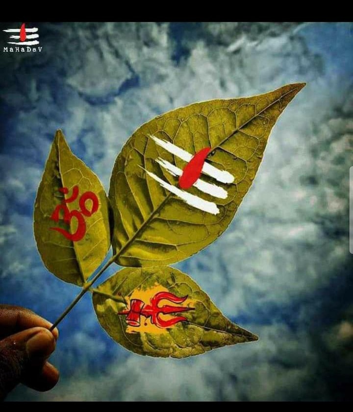 SinghPrity1's tweet photo. ॐ नमः शिवाय,
कर्ता करे न कर सके, शिव करे सो होय।
तीन लोक नौ खंड में, महाकाल से बड़ा न कोय।। https://t.co/s93pIfSVDJ