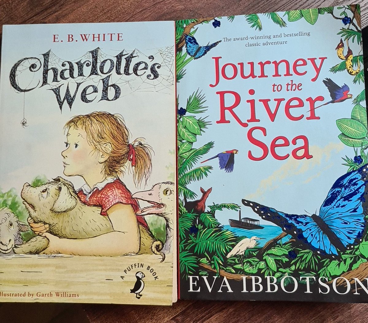 My second last recommendation is for two authors. E B White and Eva Ibbotson. Not very well known in India, but they are classical children's writers from early 19th century. Their books are loved equally even 100 years later.