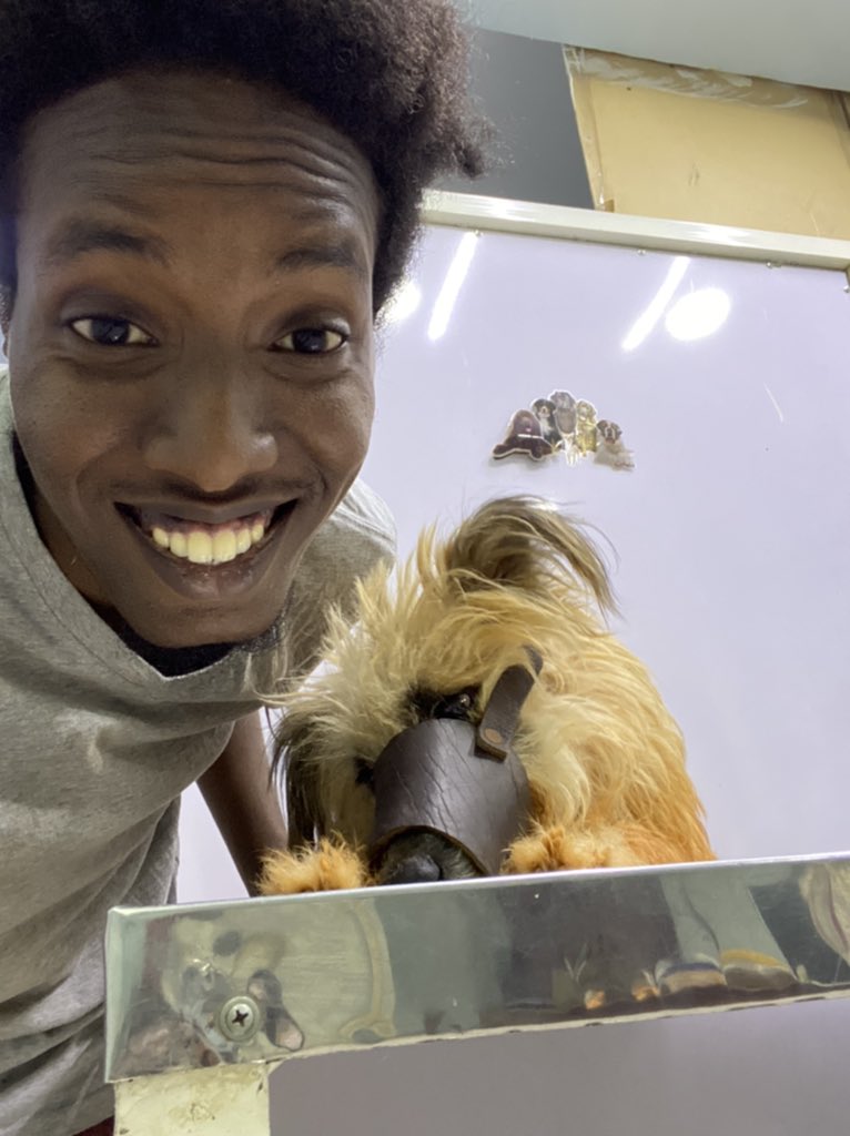 𝑨𝑳𝑶𝑴𝑹𝑨𝑵𝑰 🇸🇩 tweet media
