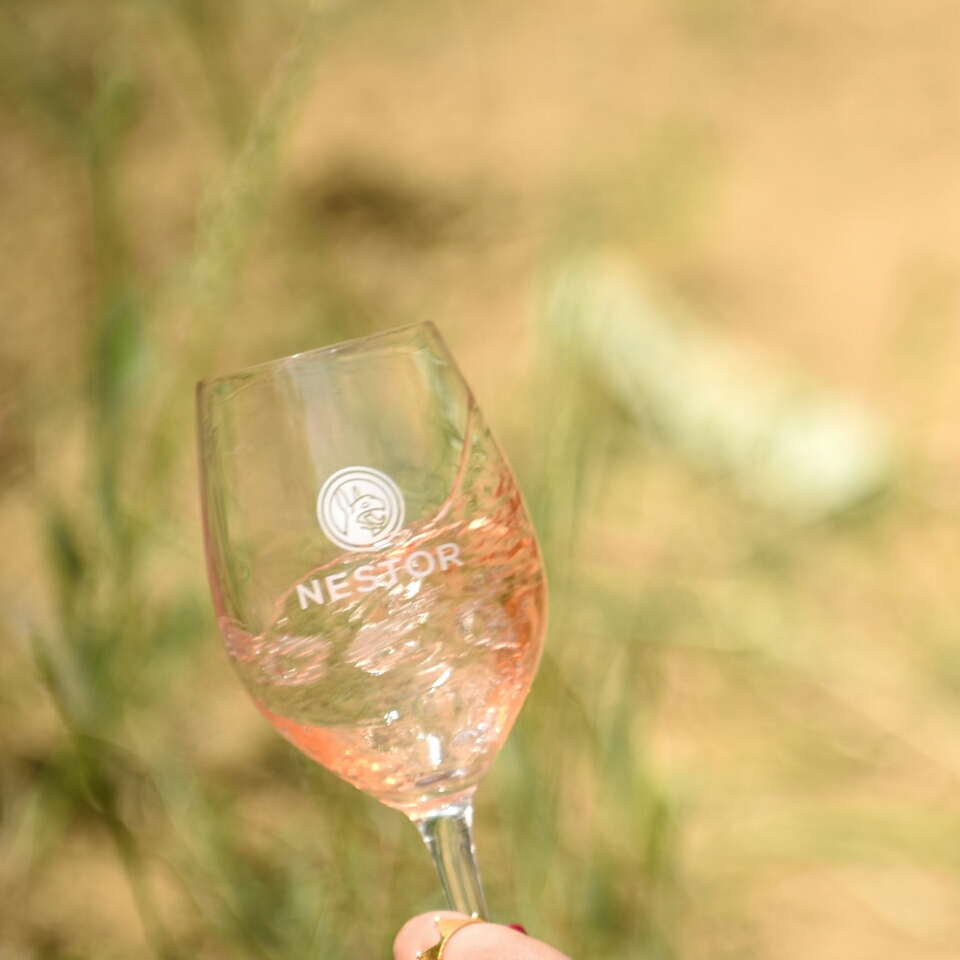 Nestor_Wines_Gr's tweet photo. "Ξεκλειδώνοντας" το ροζέ Fileri... Ρόδινες αποχρώσεις με άρωμα ανθέων, βοτάνων και βασιλικού 🌸
⁠.
⁠.
#nestorwines #nestor #wine #greece #fileri #greekwine #vine #rosewine #winelover #summer #rose https://t.co/f6aWCdSiem