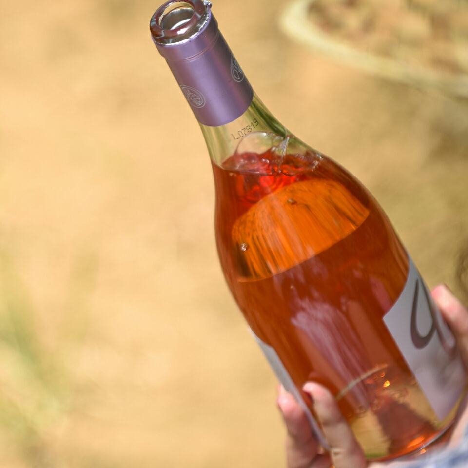 Nestor_Wines_Gr's tweet photo. "Ξεκλειδώνοντας" το ροζέ Fileri... Ρόδινες αποχρώσεις με άρωμα ανθέων, βοτάνων και βασιλικού 🌸
⁠.
⁠.
#nestorwines #nestor #wine #greece #fileri #greekwine #vine #rosewine #winelover #summer #rose https://t.co/f6aWCdSiem