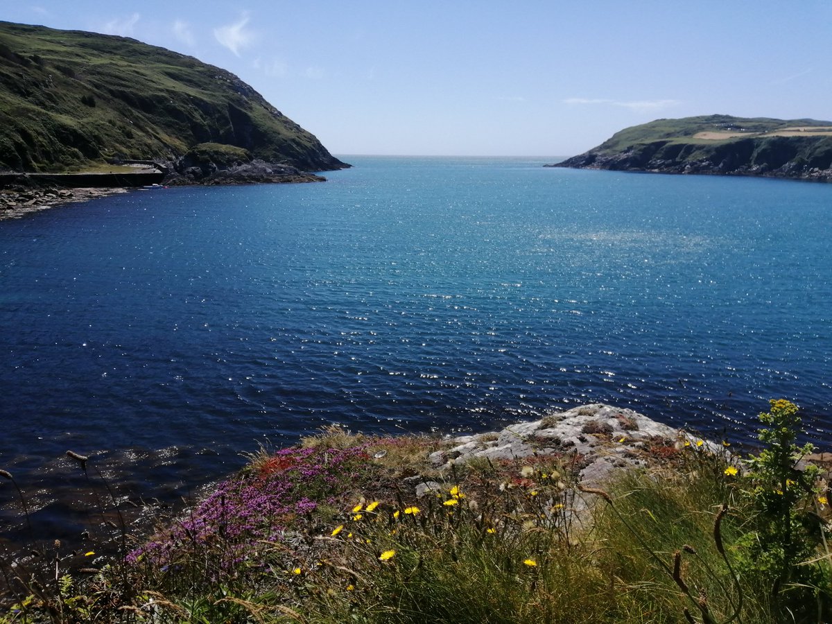 Stunning day here on cape clear today. We are open for bookings call 02839160 or capeclesrbandb.ie #HappyMonday #KeepDiscovering #Capeclesrcosta #therivieraofireland #capeclearbnb #weareopen #openislands #samhradh2020 #welcometocapeclear