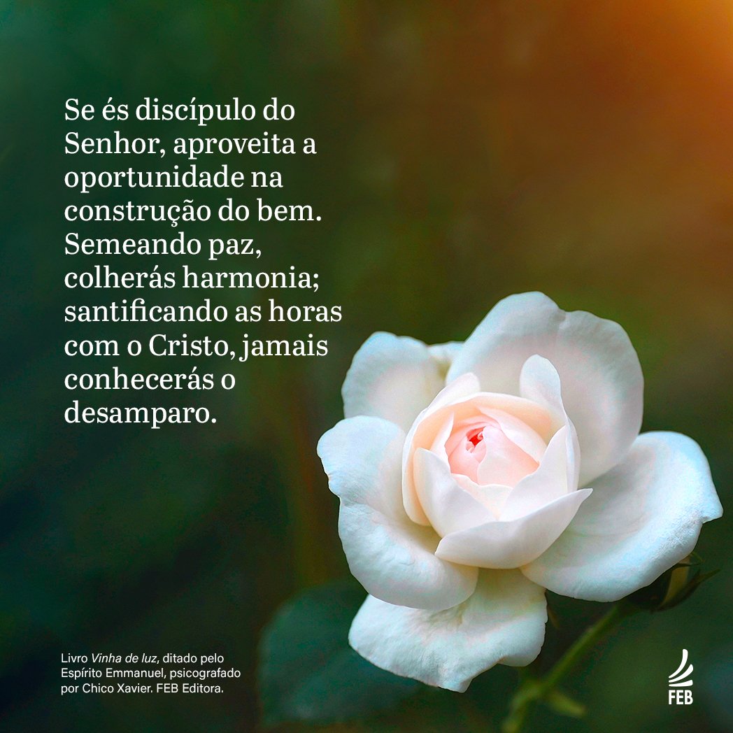 FEB_Oficial's tweet photo. #PraCegoVer #acessibilidade
Se és discípulo do Senhor,aproveita a oportunidade na construção do bem.Semeando paz,colherás harmonia;santificando as horas com o Cristo,jamais conhecerás o desamparo. Livro Vinha de luz,ditado pelo Espírito Emmanuel,psicogrado por Chico Xavier. FEB. https://t.co/6HrlHVtUhv