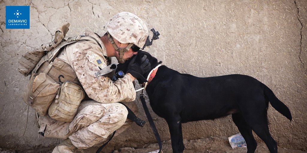 DEMAVICLab's tweet photo. Bonjour la team ! 😀

📣 Aujourd'hui, c'est la journée internationale du baiser 💋
Voici plusieurs photos qui témoignent de cette grande histoire d'amour entre les animaux de compagnie et leurs propriétaires 🐾

Quelle photo préférez-vous ? 🐱🐶
1 - 2 - 3 ou 4 ? https://t.co/V33JnNUZdB