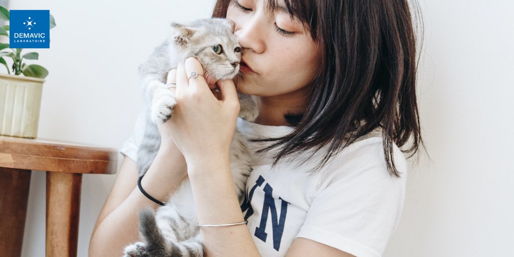 DEMAVICLab's tweet photo. Bonjour la team ! 😀

📣 Aujourd'hui, c'est la journée internationale du baiser 💋
Voici plusieurs photos qui témoignent de cette grande histoire d'amour entre les animaux de compagnie et leurs propriétaires 🐾

Quelle photo préférez-vous ? 🐱🐶
1 - 2 - 3 ou 4 ? https://t.co/V33JnNUZdB