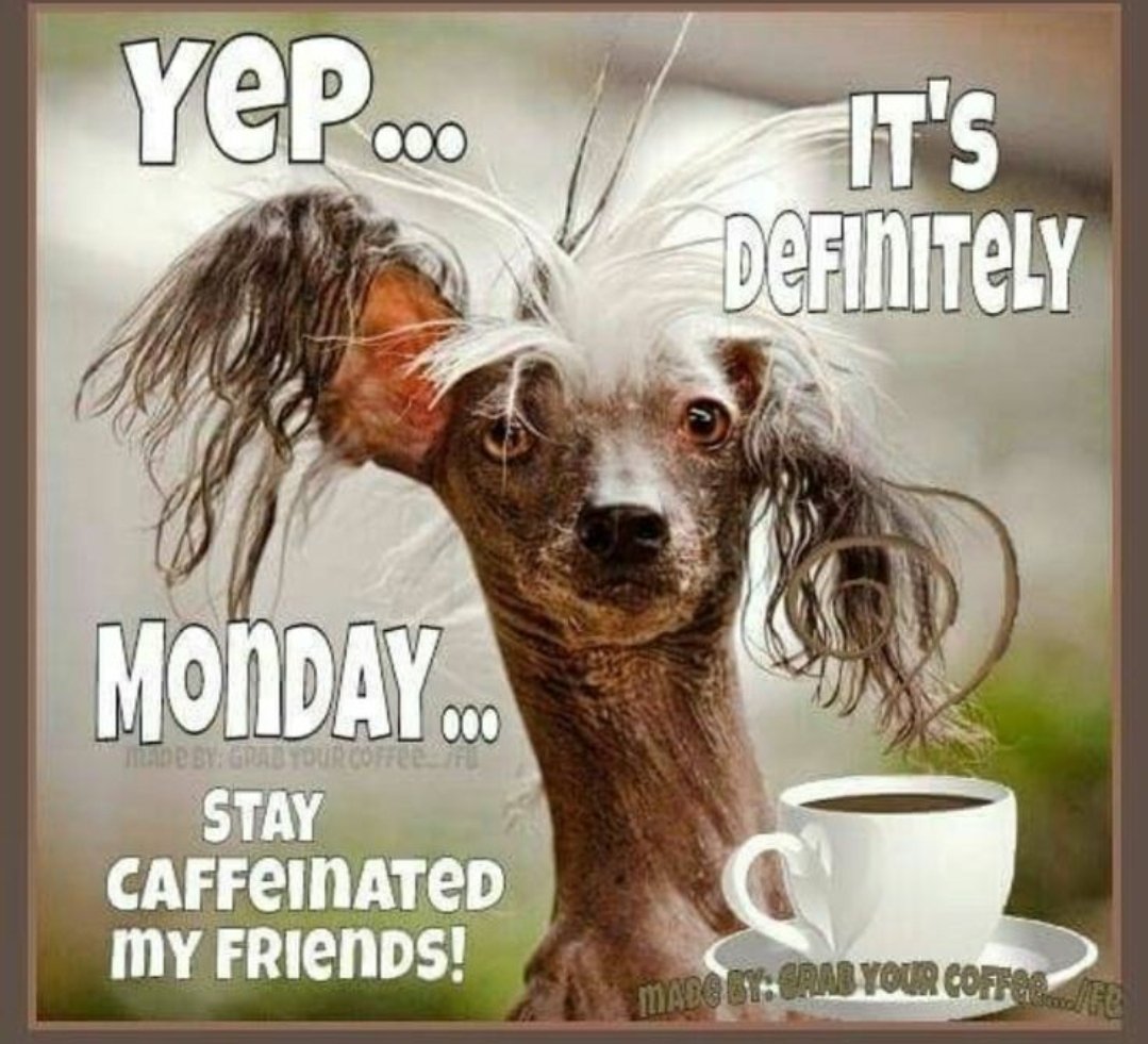 Happy Monday.  #Newweek.  #Newadventures. #rainbow #suffolk #franklin #Smithfield #isleofwight