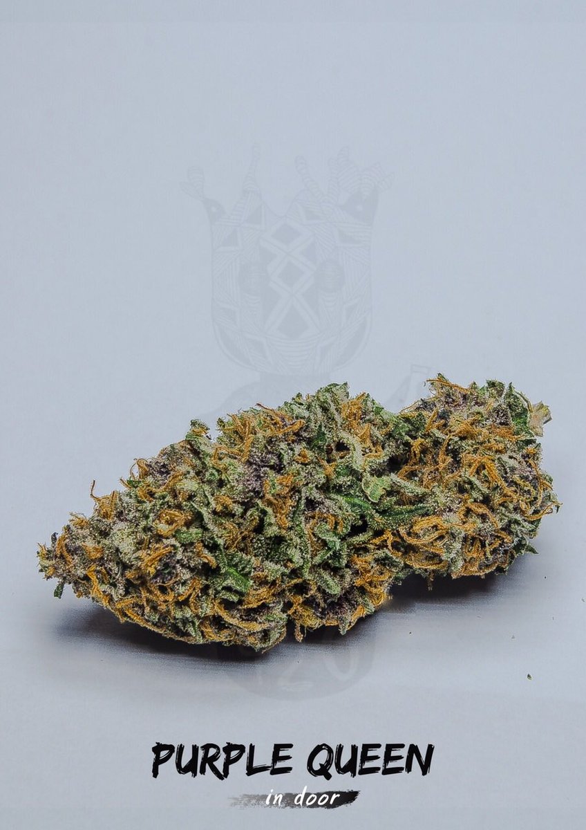 soligreen1's tweet photo. ชบาแก้ว#420 https://t.co/Y4GxdorkhT