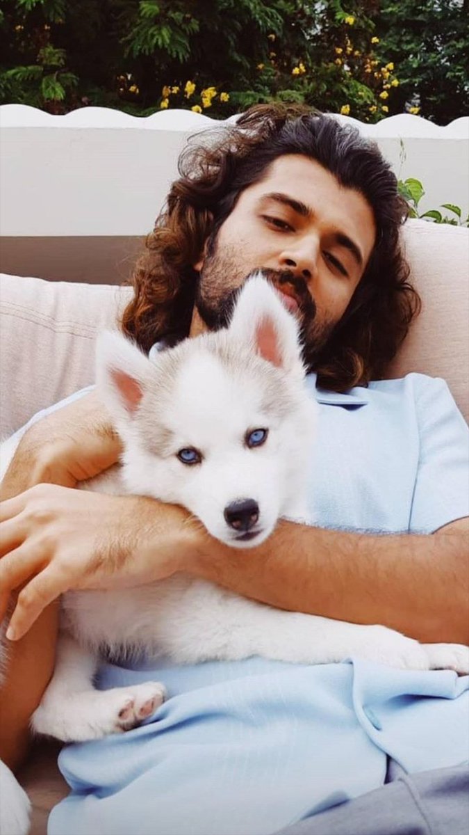 AbithaSara's tweet photo. Aww 😍❤️ @TheDeverakonda 

#VijayDeverakonda #stormdeverakonda #thedeverakonda https://t.co/8WPhkwwUpi