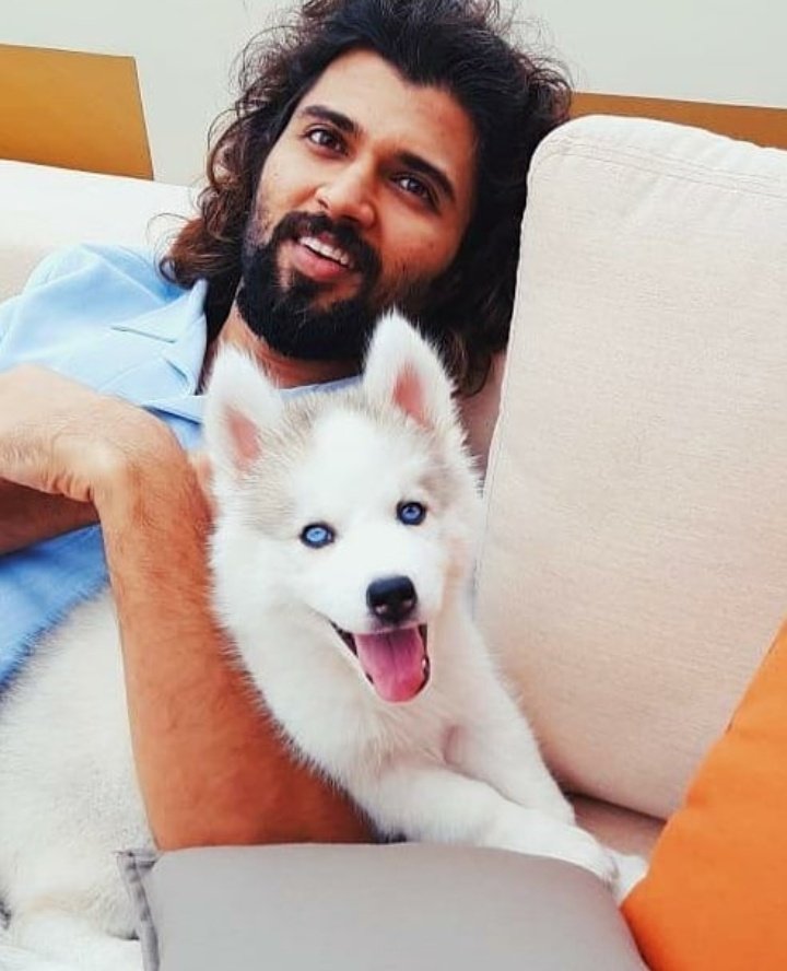 AbithaSara's tweet photo. Aww 😍❤️ @TheDeverakonda 

#VijayDeverakonda #stormdeverakonda #thedeverakonda https://t.co/8WPhkwwUpi