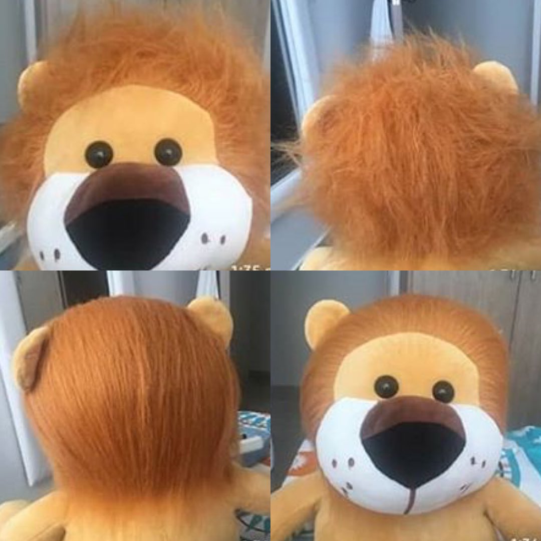 Haroldito_3's tweet photo. Arreglándome para ir al living de mi casa 🏠 Que tengan una feliz semana amigos del Conce 🦁 #Haroldito 🐾 https://t.co/dOfhKi0fim