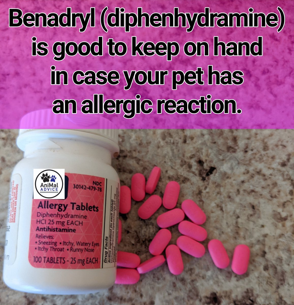 Animal Advice tweet media