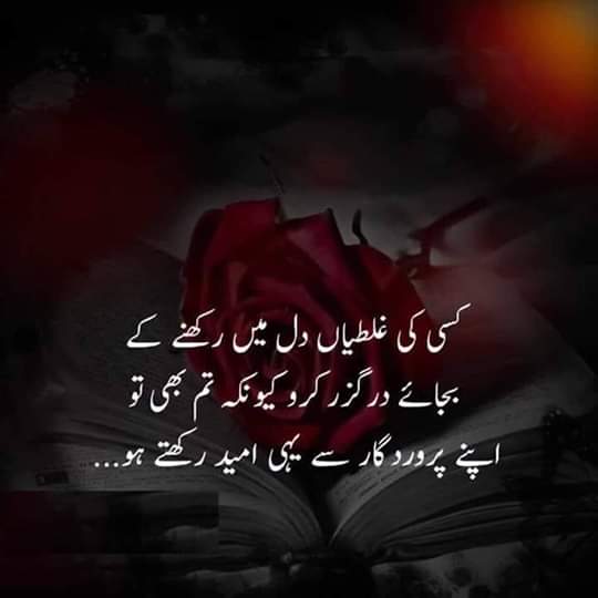 M0HAMDI's tweet photo. #APG1

💖@S_Rizvi_
💚@SB_280
💜@2M786
@Don_No01
💖@Yxr4u
@MI_RYK
💜@SabirAmma
💜@Fizi06
💚@Zarka54
@shahaboficial
@IslahiK
@samira_zop
@ybtti_7
@DrMahZala
@RaoKing34 
@saddique_rao
@1kjh7
@_Cu_Te
@0khiz
@Sh__Xu
@a_r_pk
@ra_na3
@YJ_10K
@burhpti
@M1_RYK
@471ins
@Lelliyz
@U_A_EJ https://t.co/GMwuRxquRO