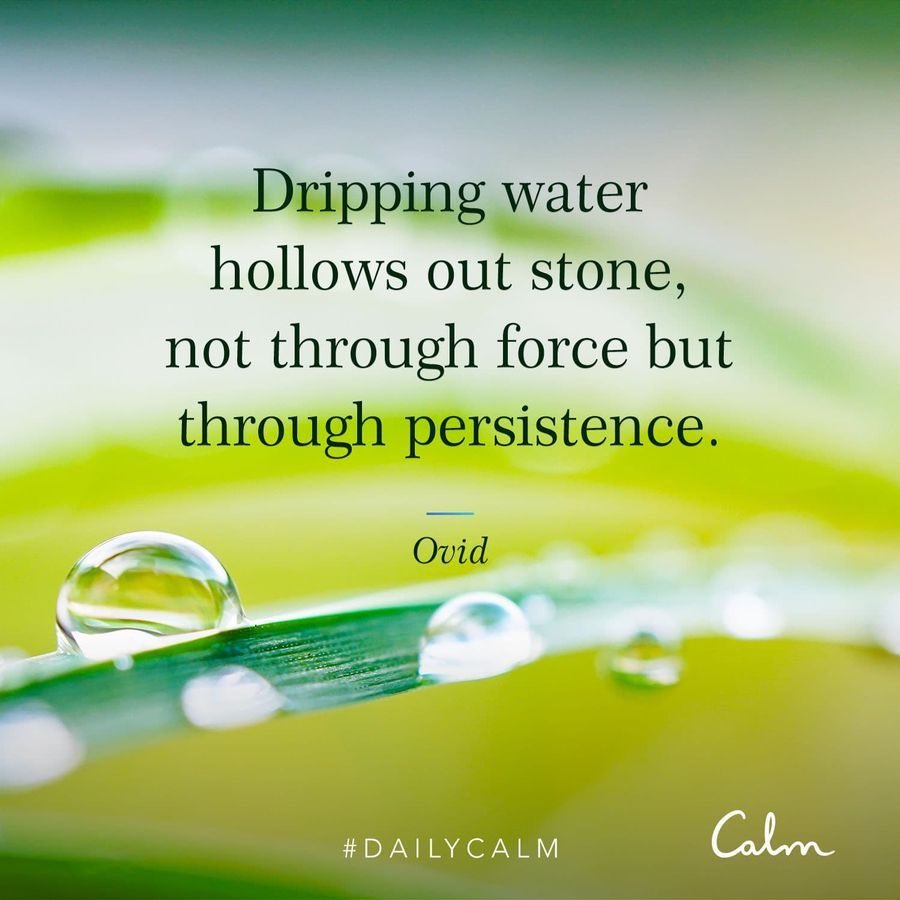 DuncanMercer's tweet photo. #DailyCalm #StaySafe #StayAlert #Mindfulness https://t.co/ZAFsGv7gup