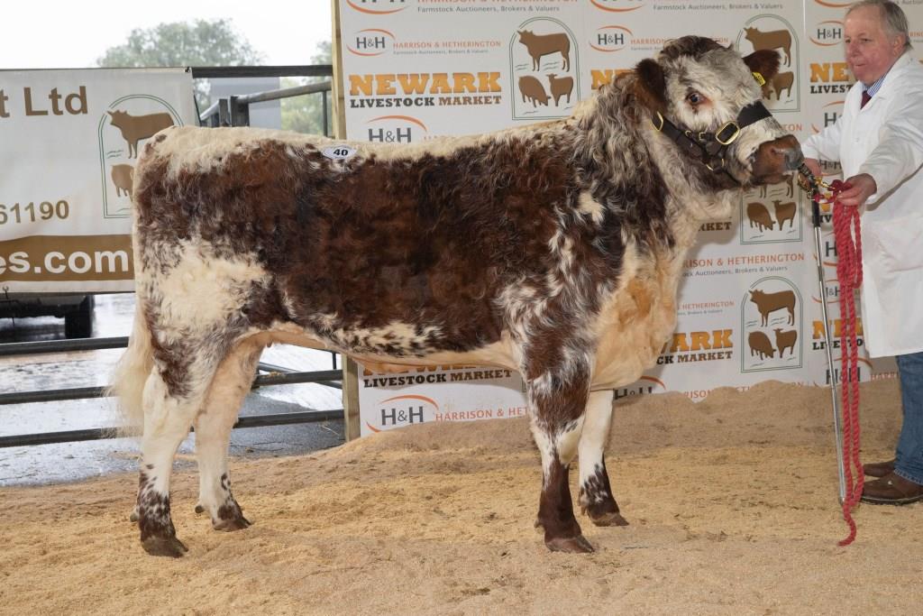 The Society will be holding an online timed auction from Thursday 10th to Sunday 13th September, hosted by @McCartneysLLP . Entries will open soon and the closing date will be in early enough to allow prospective purchasers to visit cattle on-farm if feasible. More info soon!