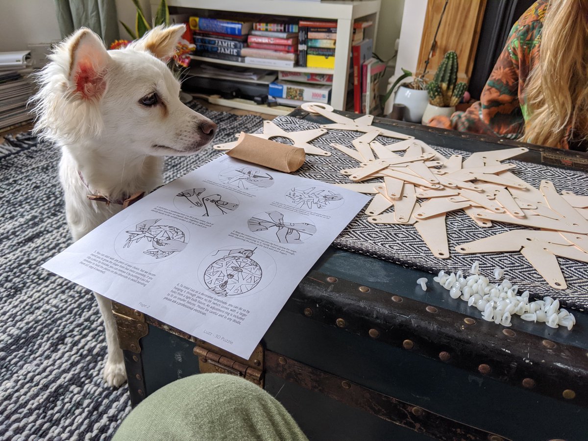 luzz_3D's tweet photo. Lucy, her flatmate and their dog Luna, assembling their Misty Rose a couple of weekends ago. Luna was very curious and helped throughout the whole process! https://t.co/c5UEzX6hop