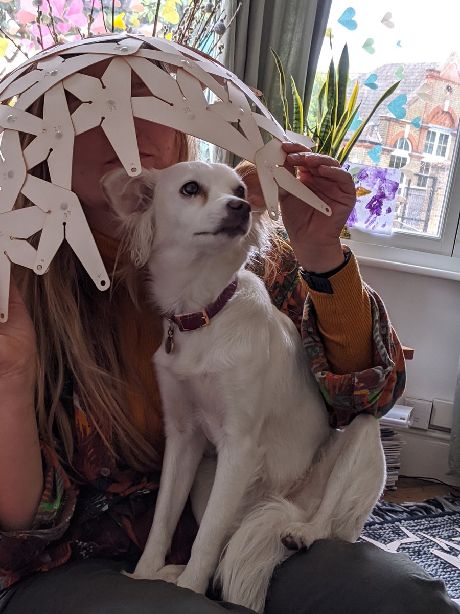 luzz_3D's tweet photo. Lucy, her flatmate and their dog Luna, assembling their Misty Rose a couple of weekends ago. Luna was very curious and helped throughout the whole process! https://t.co/c5UEzX6hop