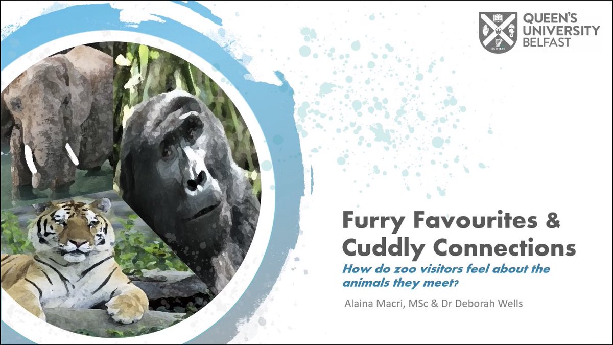 wastedyearsx's tweet photo. Caught up on @alainamacri PhD study on zoo visitors and animal connections. Really interesting findings so early on in the study! Surprised to see how many people stayed engaged with zoos during Covid-19 always nice too see news like this 🐅 #zooscience #virtualzooscience2020 https://t.co/pYTyPlB024