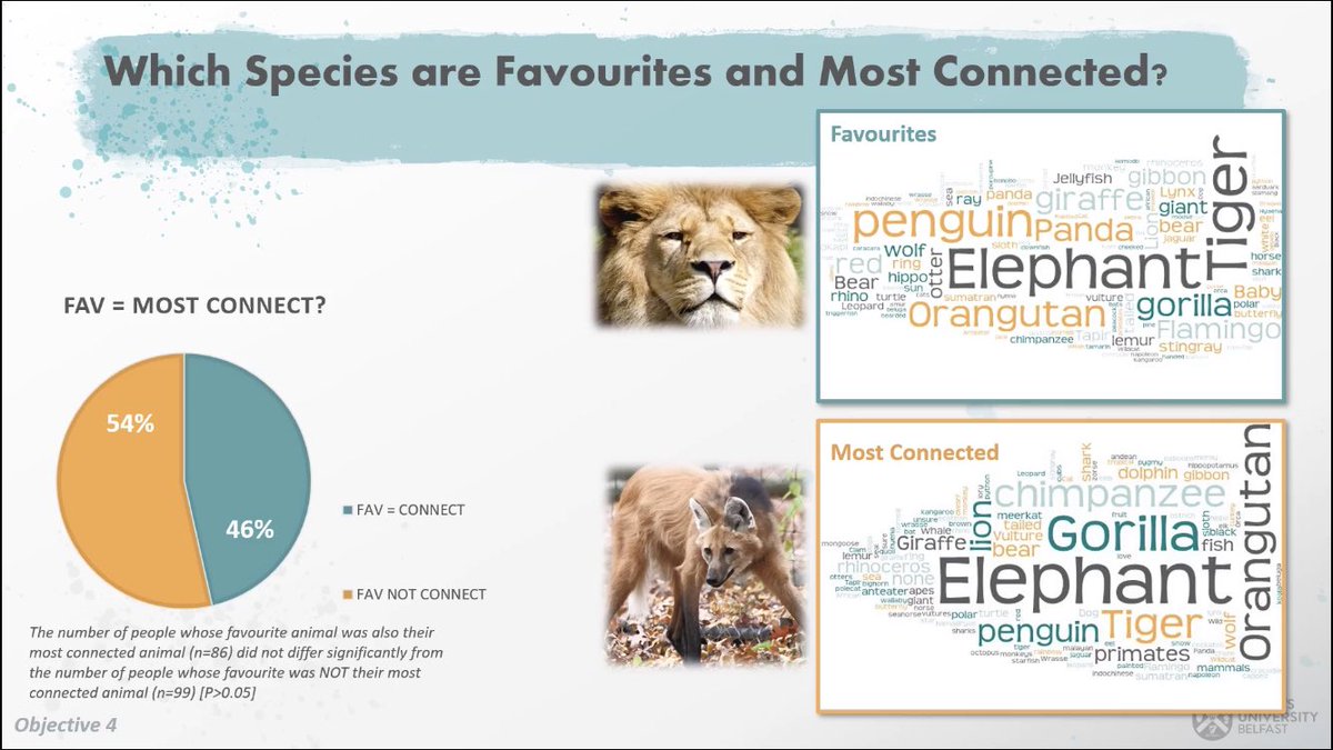 wastedyearsx's tweet photo. Caught up on @alainamacri PhD study on zoo visitors and animal connections. Really interesting findings so early on in the study! Surprised to see how many people stayed engaged with zoos during Covid-19 always nice too see news like this 🐅 #zooscience #virtualzooscience2020 https://t.co/pYTyPlB024