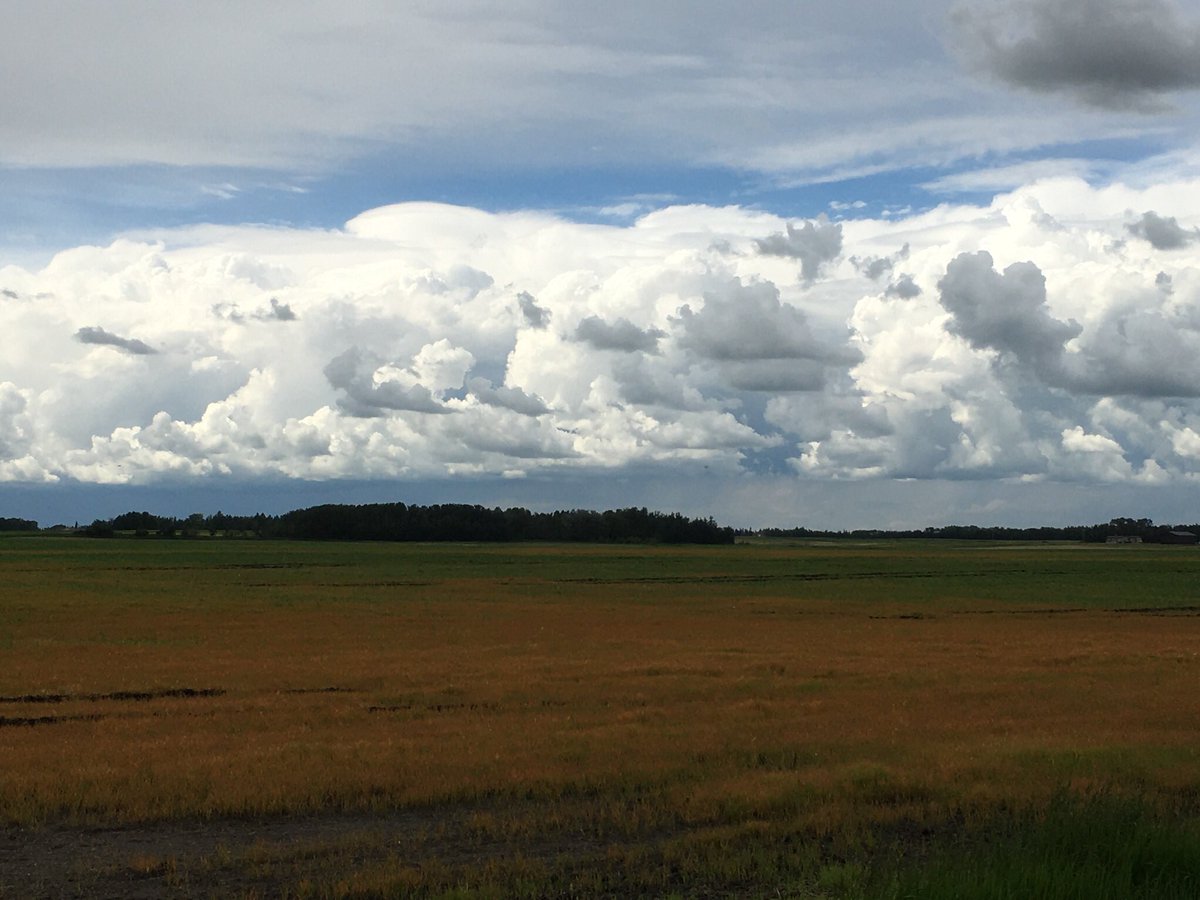 It’s hard to see so much water in the fields. <a href="/westernproducer/">The Western Producer</a> <a href="/Brian_D_Cross/">BDC</a> says >200,000 acres of insured cropland NE &amp; NW of Edmonton will not produce a fall-harvested crop this year. Tough conditions for a year that is already hard! #AbAg #Rain #AbWeather #AbWx #MakeItStop
