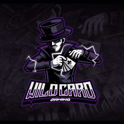 WILDCARDPS4's tweet photo. #NewProfilePic https://t.co/qEXynyuhaa