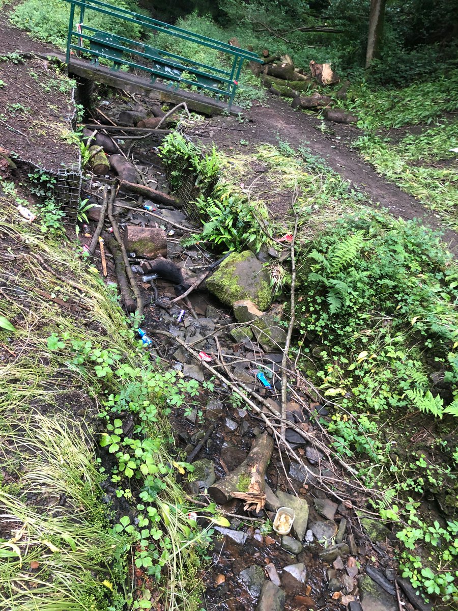 steel_valley's tweet photo. We did lots of restoration work on the Fox Glen bandstand before lockdown &amp; our Environmental Project Officer went back last week. Sadly lots of litter had been left &amp; logs/brash thrown into the stream. These before/after pictures show what a great job he did clearing it up 👏 https://t.co/jRGG7Zjxiw