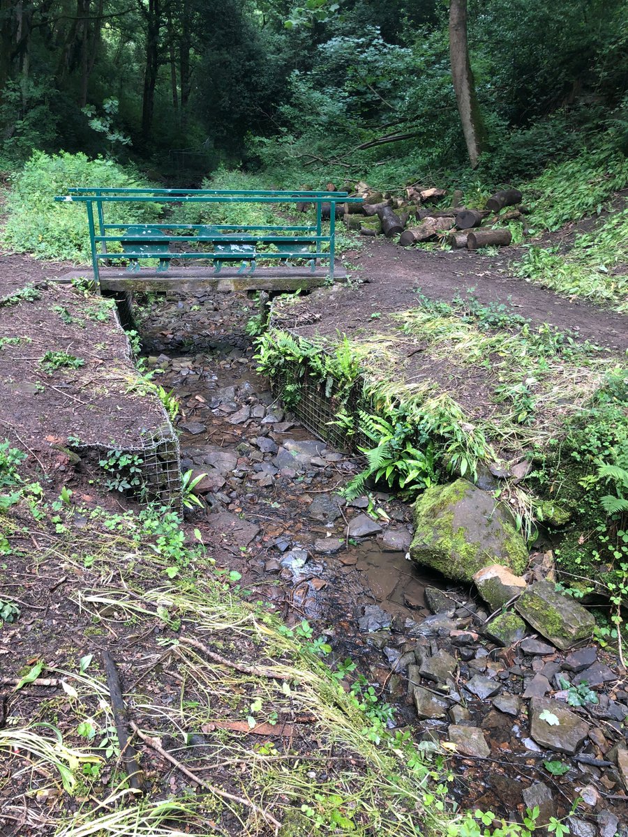 steel_valley's tweet photo. We did lots of restoration work on the Fox Glen bandstand before lockdown &amp; our Environmental Project Officer went back last week. Sadly lots of litter had been left &amp; logs/brash thrown into the stream. These before/after pictures show what a great job he did clearing it up 👏 https://t.co/jRGG7Zjxiw
