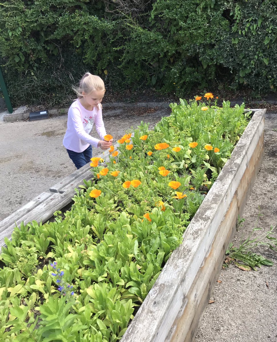 stdavidsrc2017's tweet photo. Dosbarth Un had a wonderful day creating a beautiful vase of flowers for their families π #exploringoutside #nature https://t.co/CqTeWW7QzO