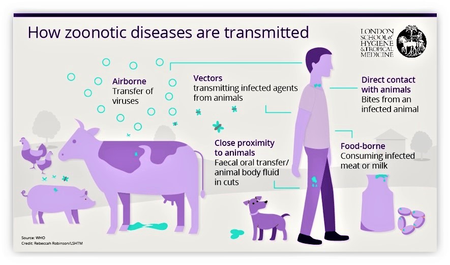 Vaccinologist tweet picture