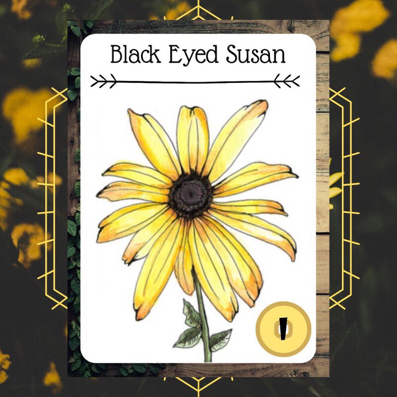 wolfbeardgames's tweet photo. We are finishing up the final stages before our Kickstarter launch!
Right To Farm is a family friendly game for 2-5 players. It’s a perfect addition to your collection or as a gift!
#righttofarmgame #cardgames #tabletopgames #cardart #watercolor #wolfbeardgames #kickstarter https://t.co/mH0vufzm1C