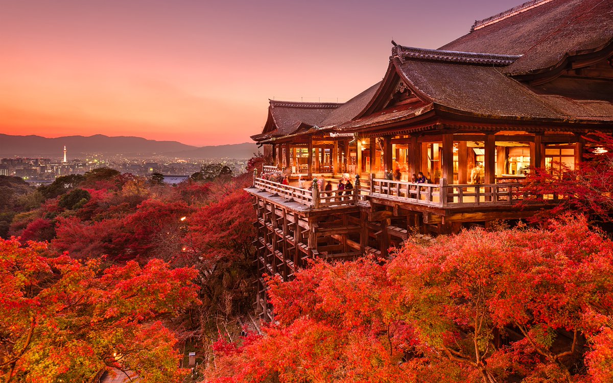 #Kyoto is a great place to visit in autumn, when the Japanese maples turn yellow, orange and red. While you are there, dine on #sushi, drink #sake, and try to find the elusive #geisha. #SimplexityTravelBucketList