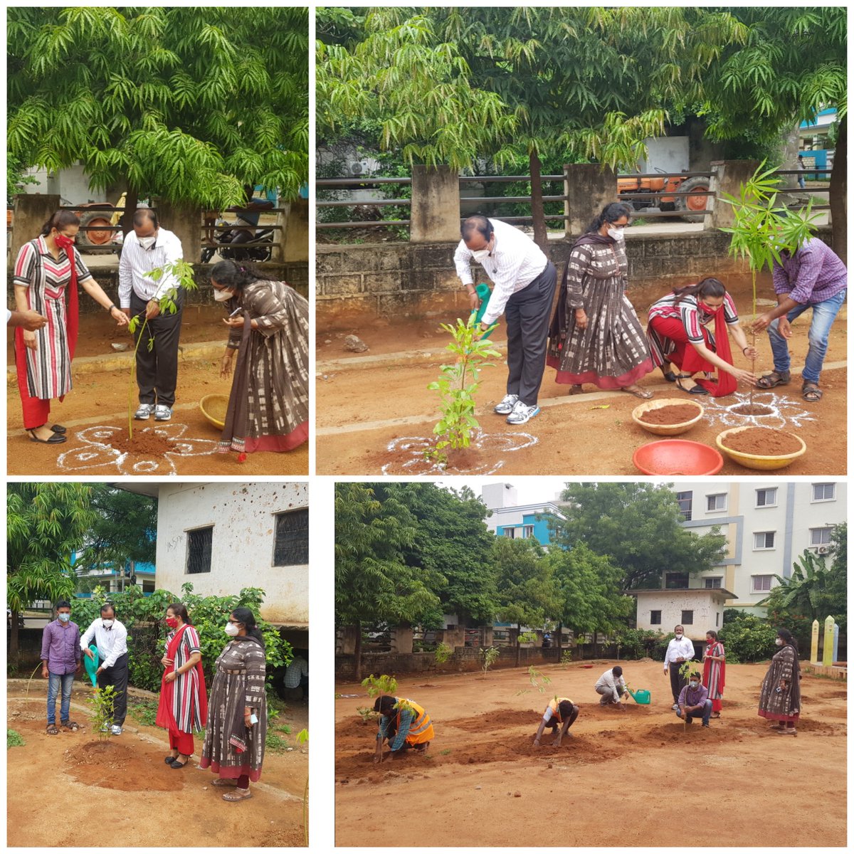 Sir, Implementing 'Each Employee - Plant 20' Programme launched by ZC Mamatha madam and planted 20 plants at Power Nagar, Balaji Nagar dvn  Participated by DC Moosapet, DY.EE &amp; Workers - DC Moosapet Circle