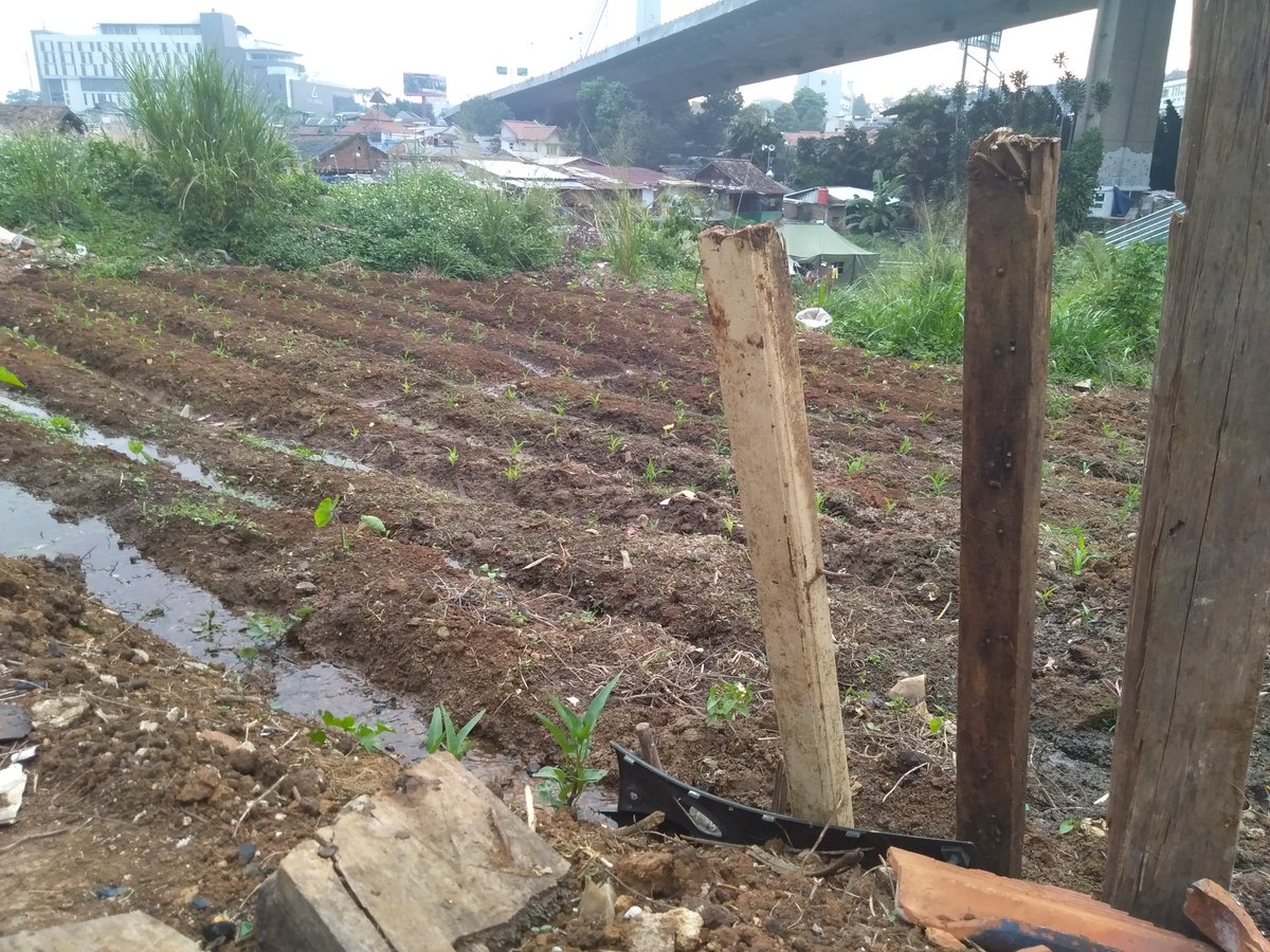 LBH Bandung tweet media