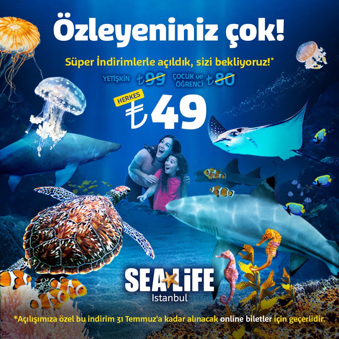 Отзыв sea life