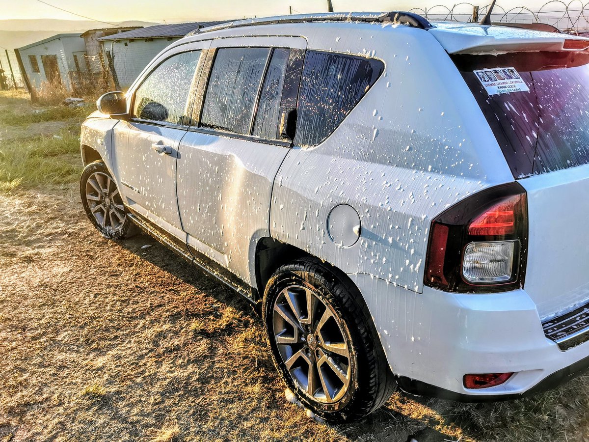 ydb_ZN's tweet image. Being A Small Scale Farmer Means &quot;Use What You Have To Get The Desired Goal&quot; Than Eventually Invest Back And Grow Your Business. No Bakkie But The Goal Was Met. Target Was 100 Chickens Yesterday And We Did 120 Units. ☑️ Eventually We Will Get The Bakkie! #farming #ILoveFarming