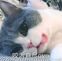 科二真难。