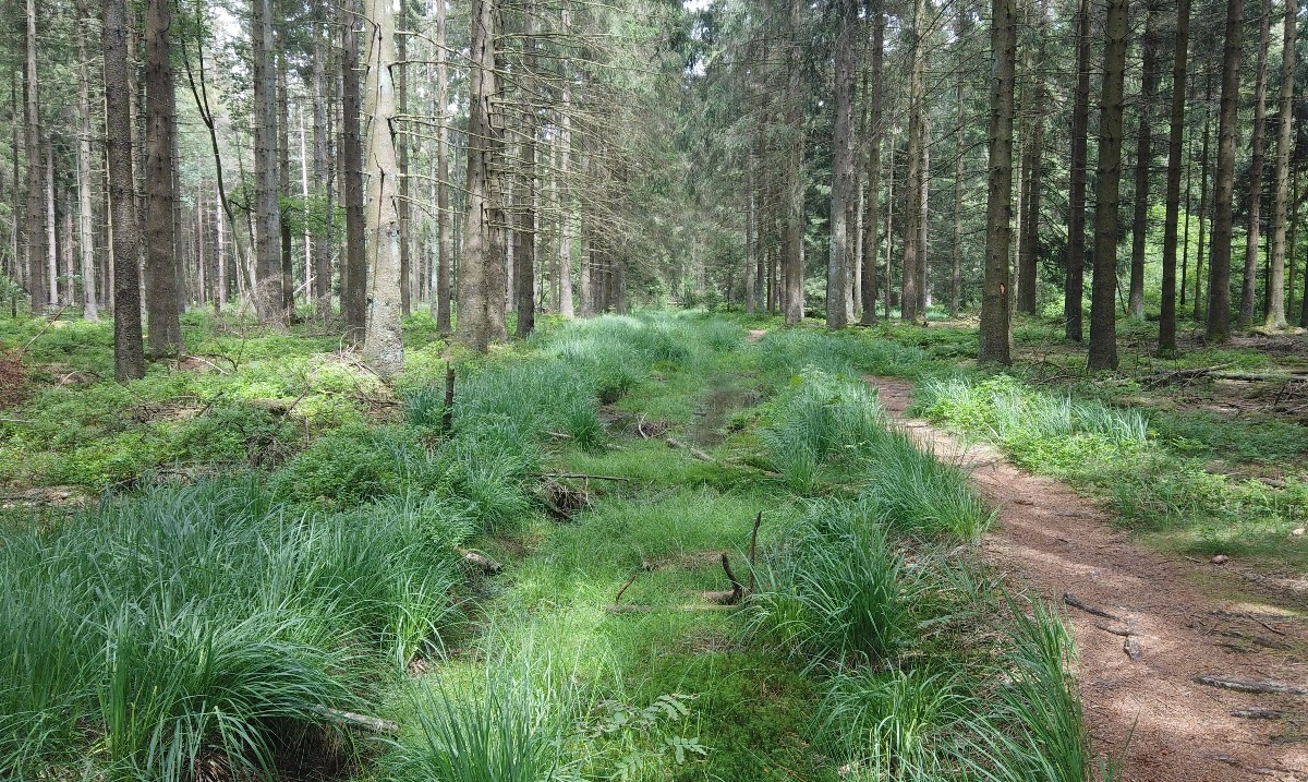 GazorTrail's tweet photo. https://t.co/ex6oZt2xEI #exploring #valley #backcountry #bush #backpack #hiking #camping #tent #walking #camping #trails #trailgazor #views #amazing #nature #forest #village #germany #belgium #border https://t.co/6TOOjQnaCr