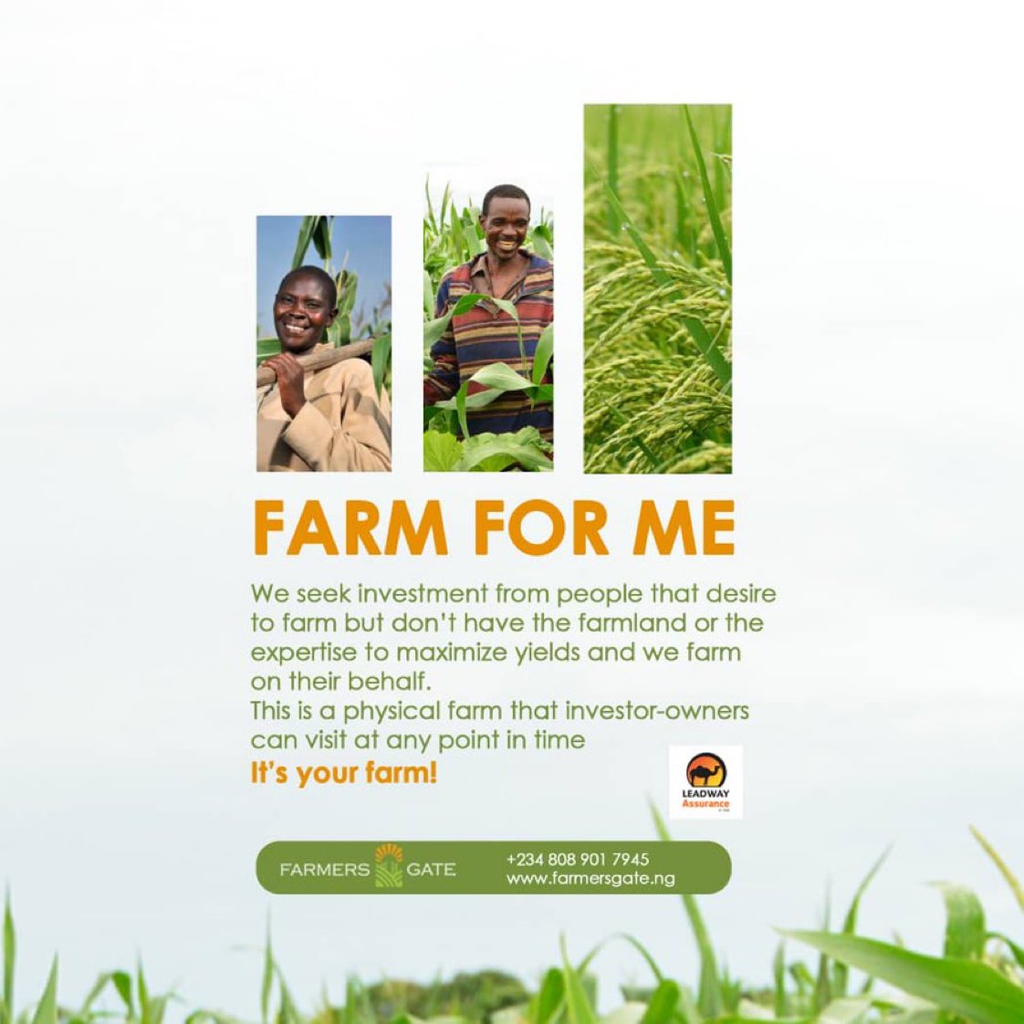 Mjayjay_'s tweet photo. @Farmers__Gate we take investment from those who want to own a farm and make good use of it agriculturally. After every year everyone gets to smile with 20% roi to all investors. Visit https://t.co/H68MD2T1Vl #farmersgate https://t.co/kVm0TAXy9i
