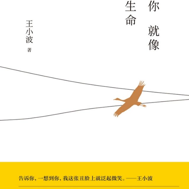 Choryee1013's tweet photo. I'm selling 唯美情书《爱你就像爱生命》 王小波，李银河著 for RM0.90. Get it on Shopee now! https://t.co/bBtd4Br9VJ #ShopeeMY https://t.co/aAL983VugH