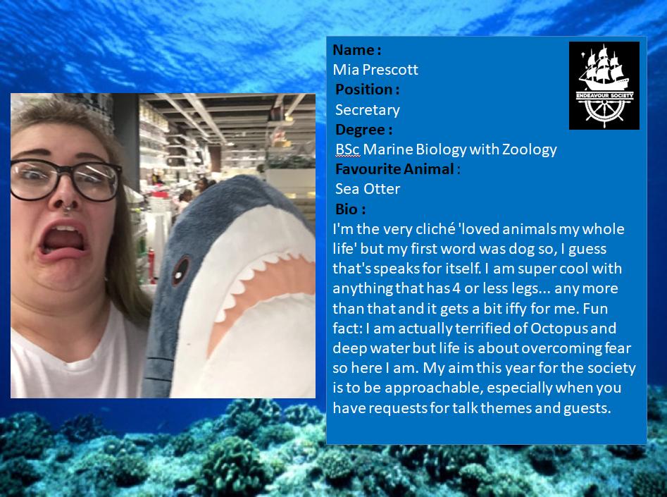 Endeavour Society tweet media