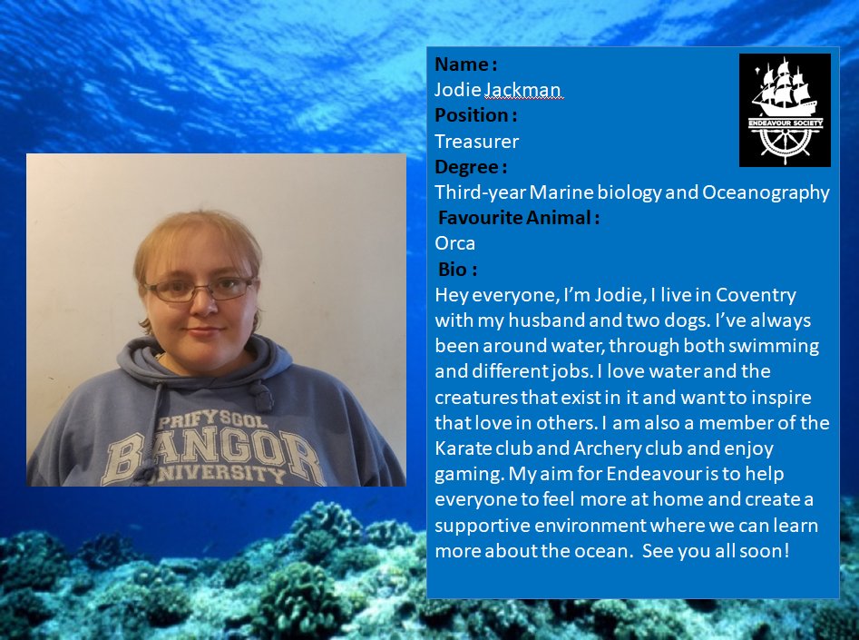 Endeavour Society tweet media