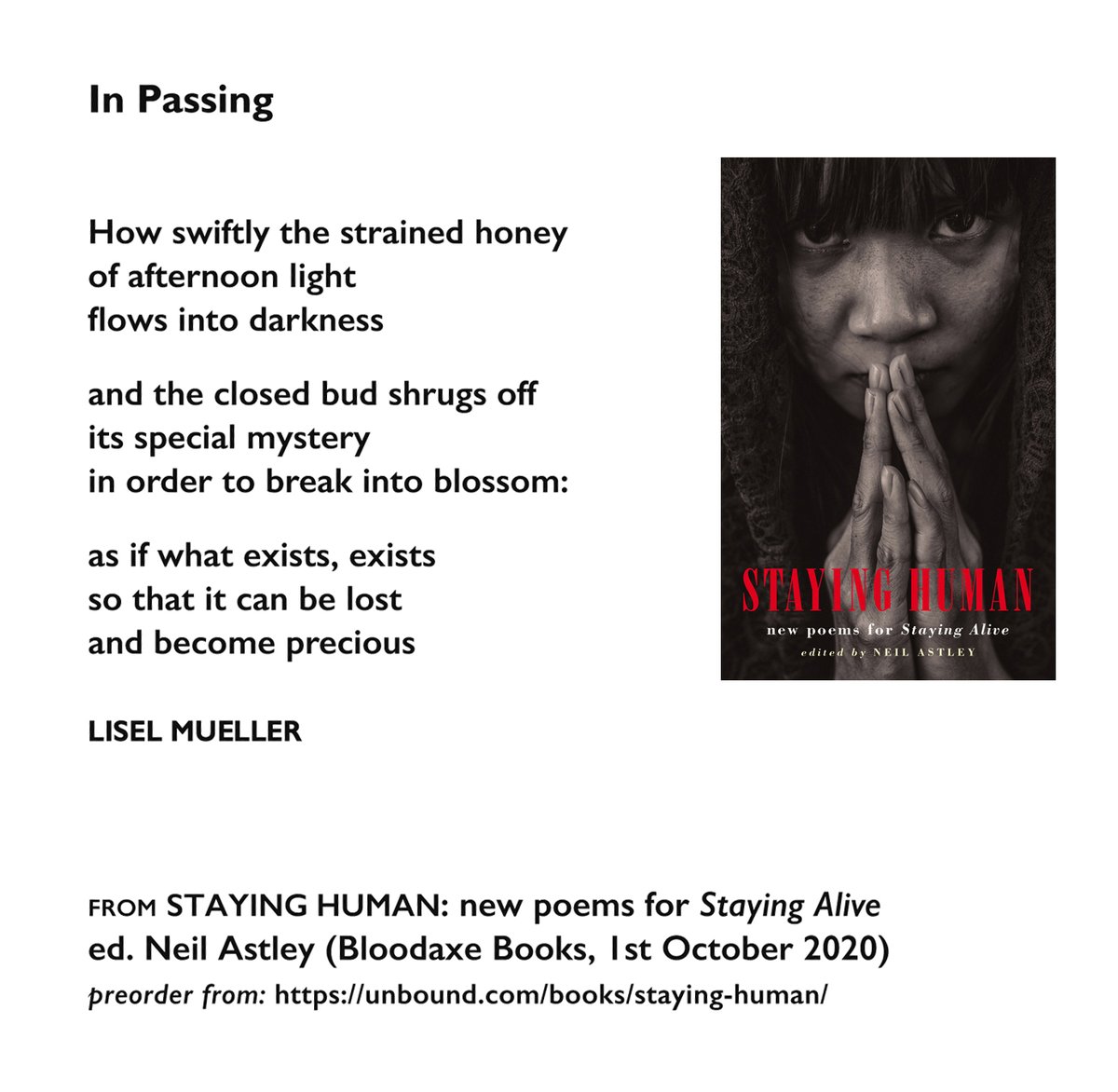 BloodaxeBooks's tweet photo. ‘In Passing’ by #LiselMueller is one of 500 poems in STAYING HUMAN [https://t.co/8elFa1SfEC], 4th in #NeilAstley's #StayingAlive @bloodaxebooks anthology series. Advance subscription offer @unbounders: preorder https://t.co/rjYjNPEacM for early copy &amp; other extras. https://t.co/JqIpvThDY0